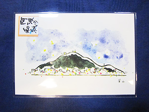 阿波和紙　絵はがき　眉山　夜景